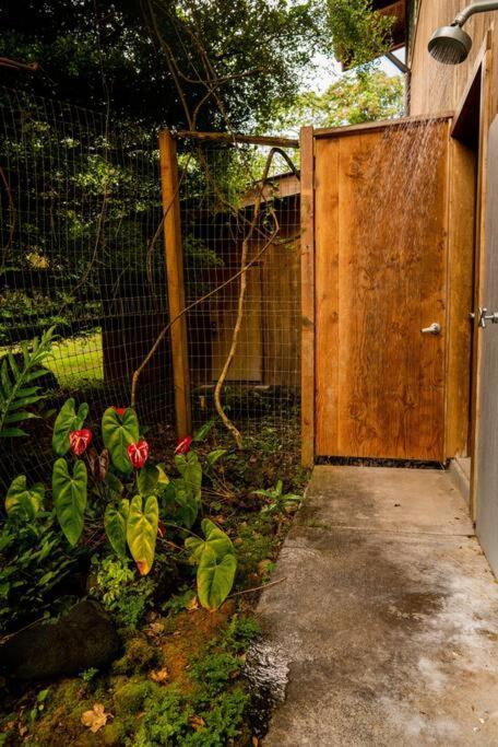 Jungle Haven Ocean Front Eco Villa On Fruit Farm Pahoa Exterior foto