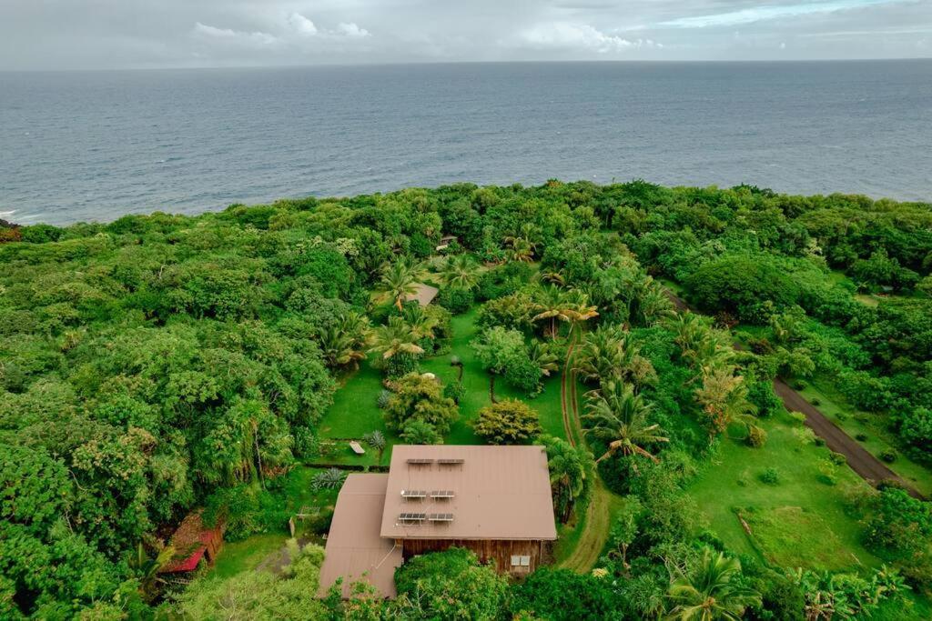 Jungle Haven Ocean Front Eco Villa On Fruit Farm Pahoa Exterior foto