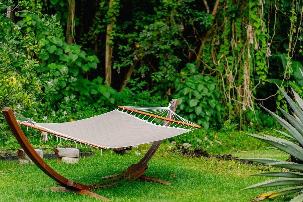 Jungle Haven Ocean Front Eco Villa On Fruit Farm Pahoa Exterior foto