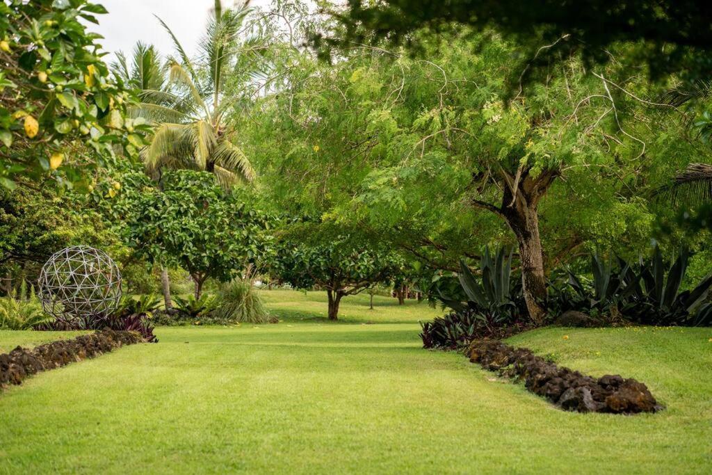 Jungle Haven Ocean Front Eco Villa On Fruit Farm Pahoa Exterior foto