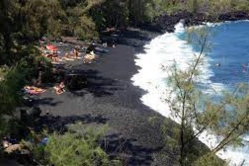 Jungle Haven Ocean Front Eco Villa On Fruit Farm Pahoa Exterior foto