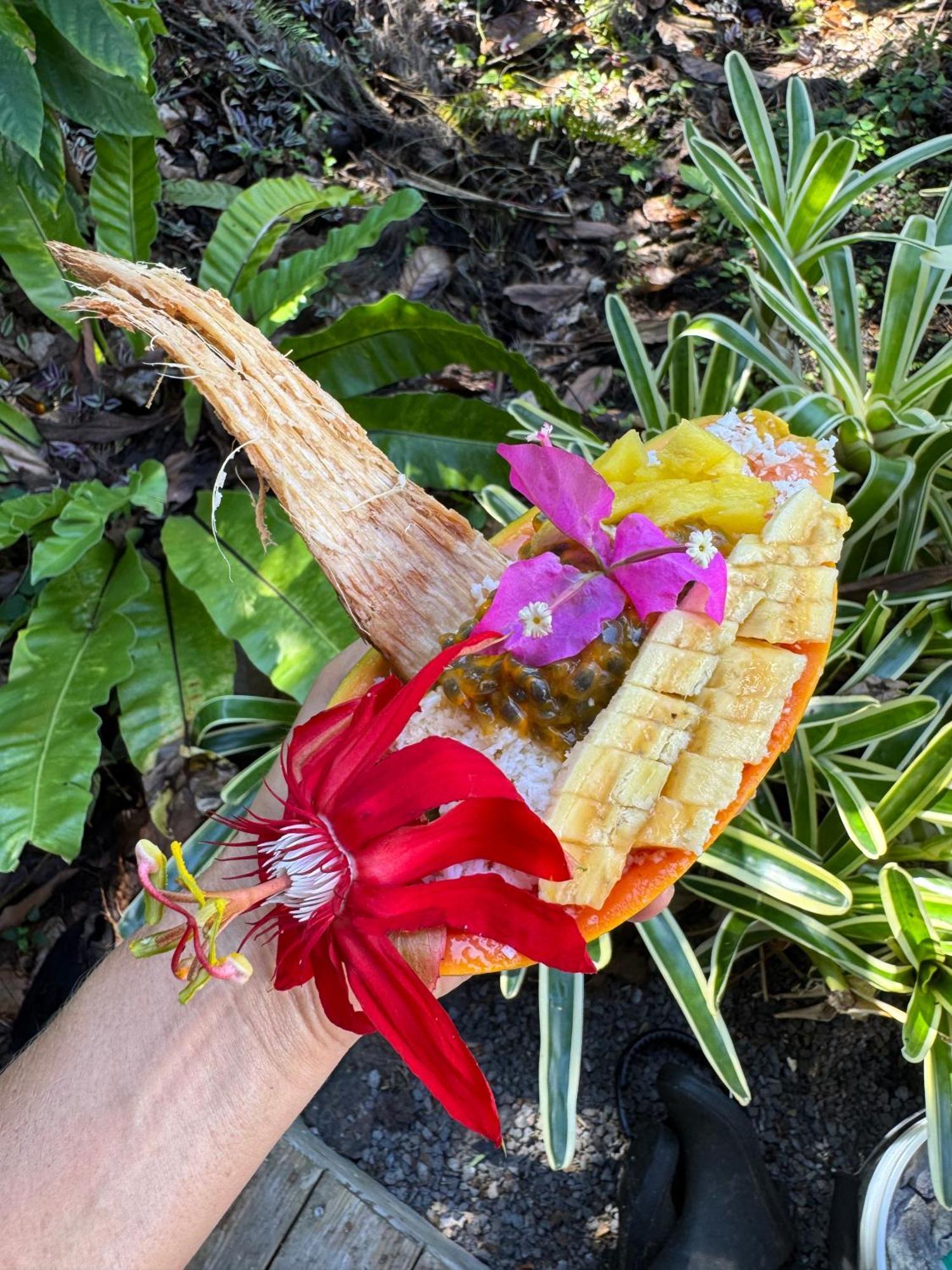 Jungle Haven Ocean Front Eco Villa On Fruit Farm Pahoa Exterior foto