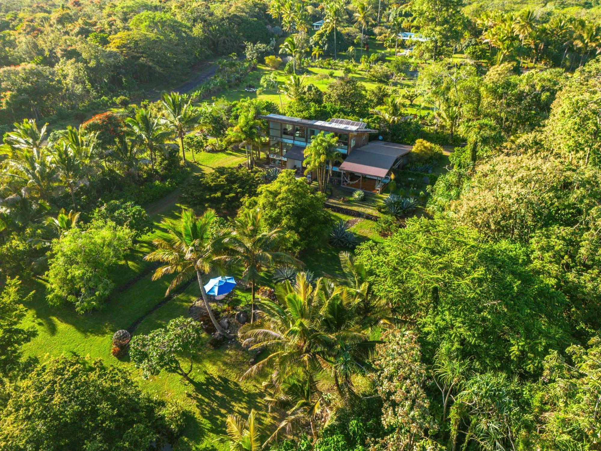 Jungle Haven Ocean Front Eco Villa On Fruit Farm Pahoa Exterior foto