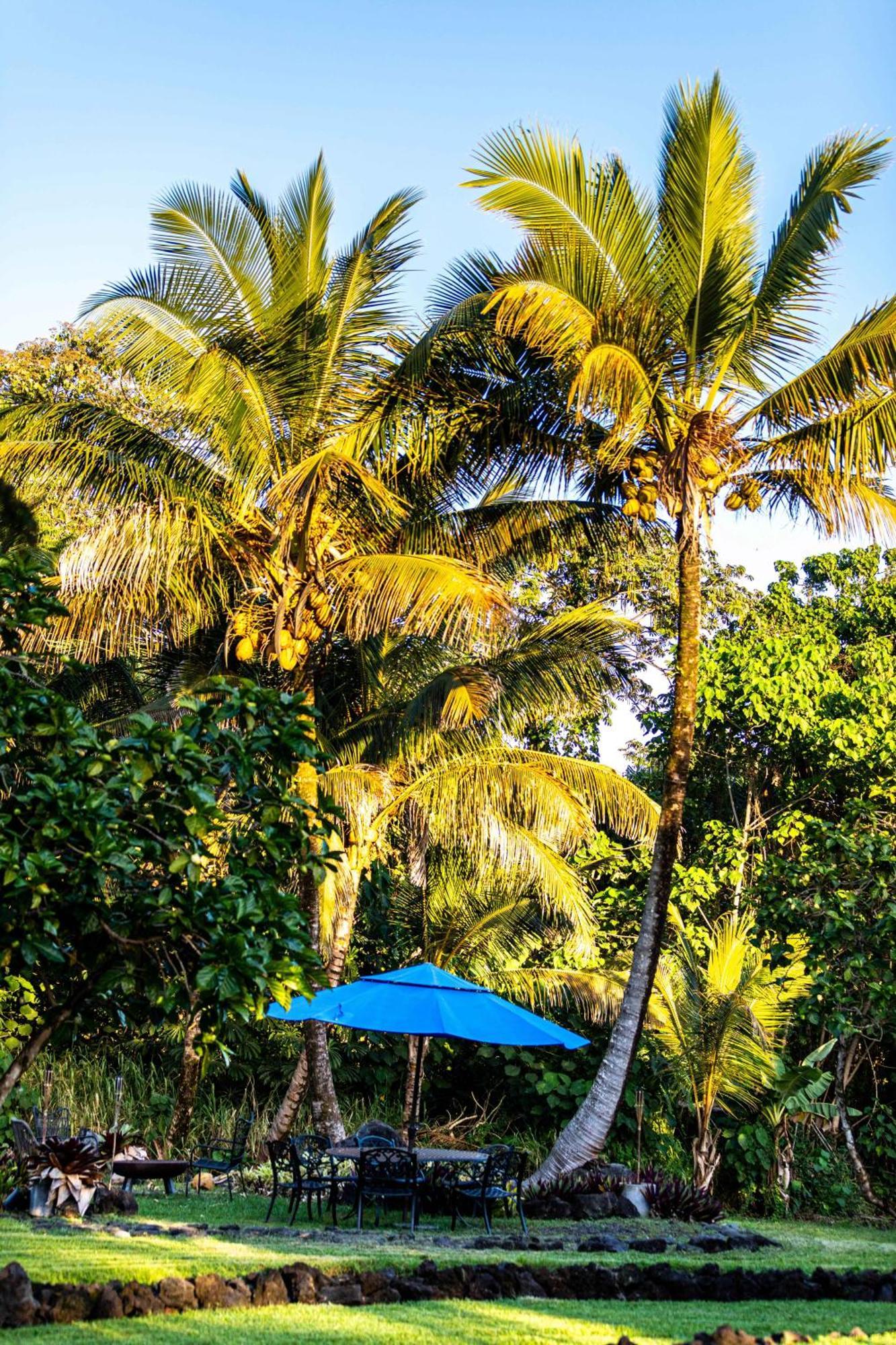 Jungle Haven Ocean Front Eco Villa On Fruit Farm Pahoa Exterior foto