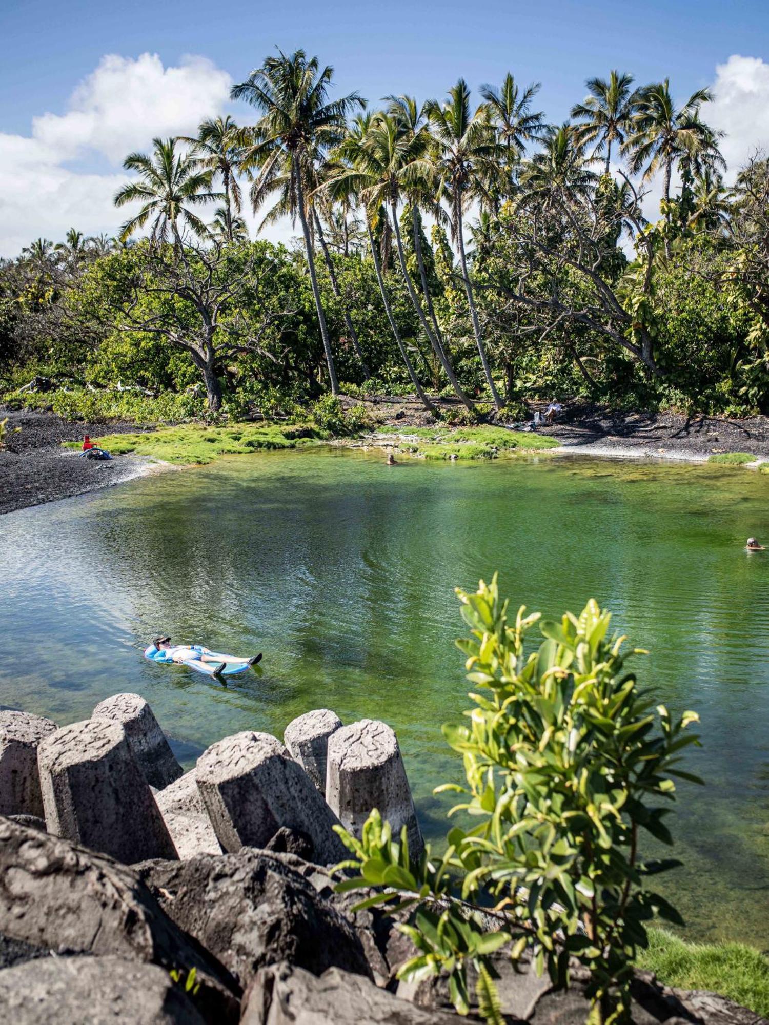Jungle Haven Ocean Front Eco Villa On Fruit Farm Pahoa Exterior foto