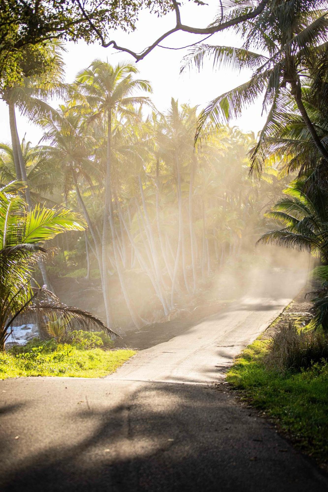 Jungle Haven Ocean Front Eco Villa On Fruit Farm Pahoa Exterior foto